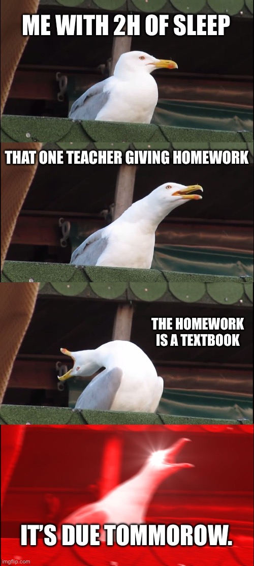 Inhaling Seagull Meme | ME WITH 2H OF SLEEP; THAT ONE TEACHER GIVING HOMEWORK; THE HOMEWORK IS A TEXTBOOK; IT’S DUE TOMMOROW. | image tagged in memes,inhaling seagull | made w/ Imgflip meme maker