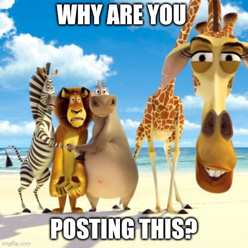 Melman Why Are You | WHY ARE YOU POSTING THIS? | image tagged in melman why are you | made w/ Imgflip meme maker