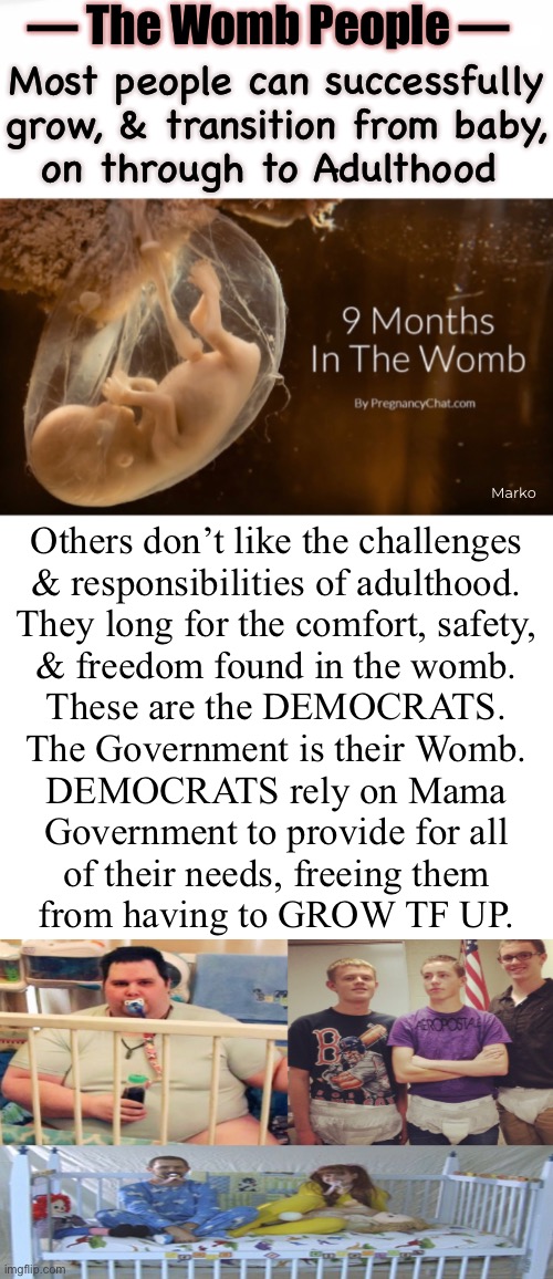 The WOMB PEOPLE | — The Womb People —; Most people can successfully
grow, & transition from baby,
on through to Adulthood; Marko; Others don’t like the challenges
& responsibilities of adulthood.
They long for the comfort, safety,
& freedom found in the womb.
These are the DEMOCRATS.
The Government is their Womb.
DEMOCRATS rely on Mama
Government to provide for all
of their needs, freeing them
from having to GROW TF UP. | image tagged in memes,dont want to grow up,take care of me me me,i want i want i want,freeee,fjb voters fkh voters kissmyass n gotohell | made w/ Imgflip meme maker