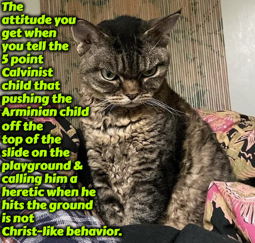 Not Christ-like Behavior | The attitude you get when you tell the 5 point Calvinist child that pushing the Arminian child; off the top of the slide on the playground & calling him a heretic when he hits the ground is not Christ-like behavior. | image tagged in calvinism,arminian,molinism,not christ-like,violence,heretic | made w/ Imgflip meme maker