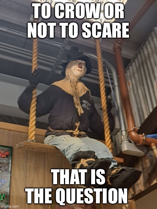 To crow or not to scare | TO CROW OR NOT TO SCARE; THAT IS THE QUESTION | image tagged in funny | made w/ Imgflip meme maker