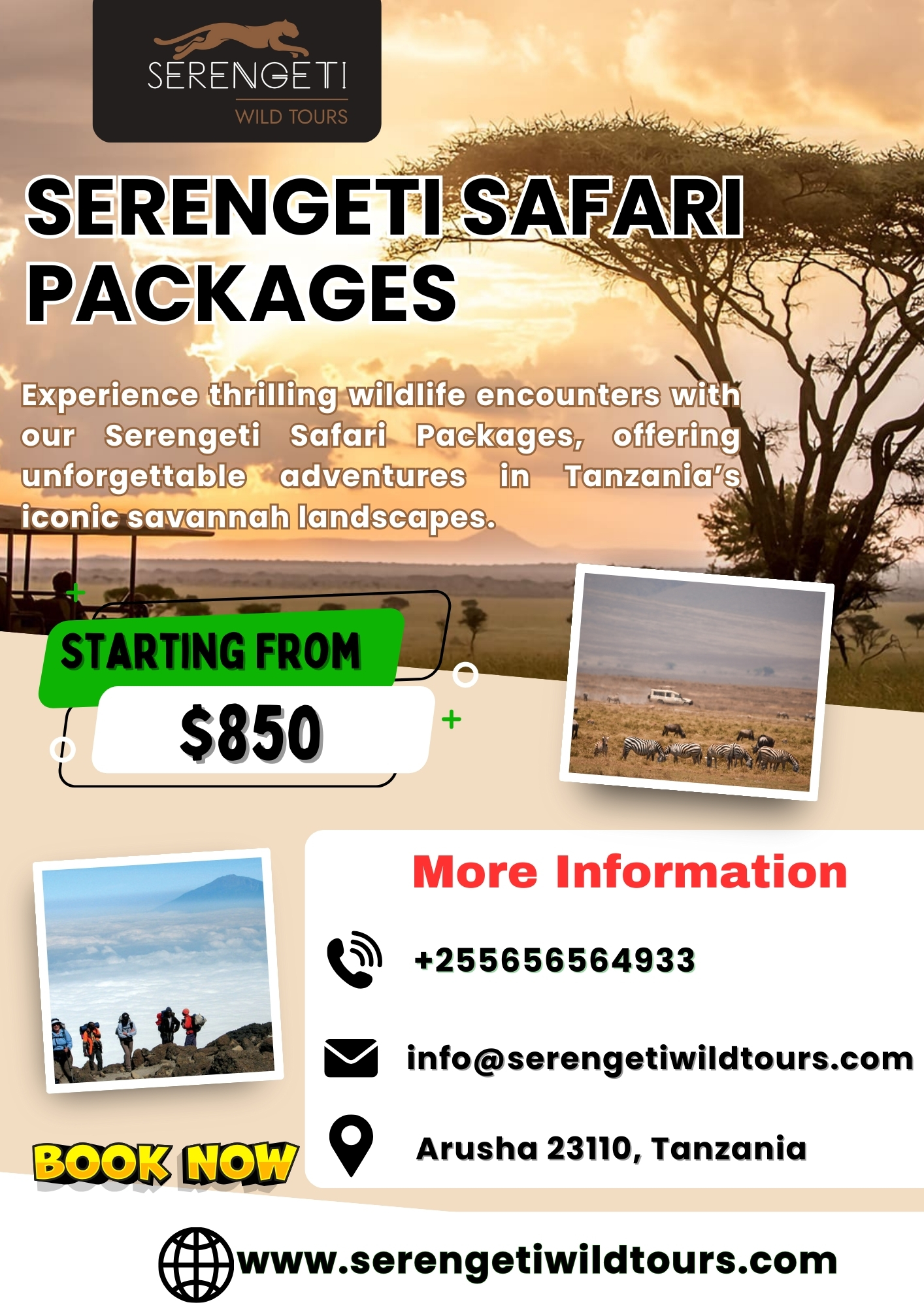 Serengeti Safari Packages Blank Meme Template