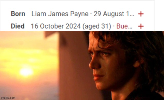 R.I.P Liam Payne T-T | image tagged in crying anakin | made w/ Imgflip meme maker