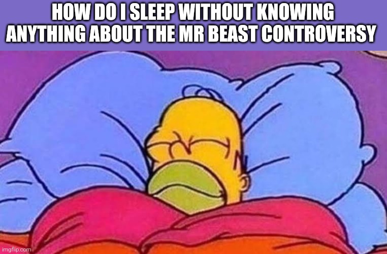 sleepyhead | HOW DO I SLEEP WITHOUT KNOWING ANYTHING ABOUT THE MR BEAST CONTROVERSY | image tagged in homer sleep,mr beast | made w/ Imgflip meme maker