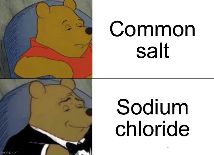 Tuxedo Winnie The Pooh | Common salt; Sodium chloride | image tagged in memes,tuxedo winnie the pooh | made w/ Imgflip meme maker