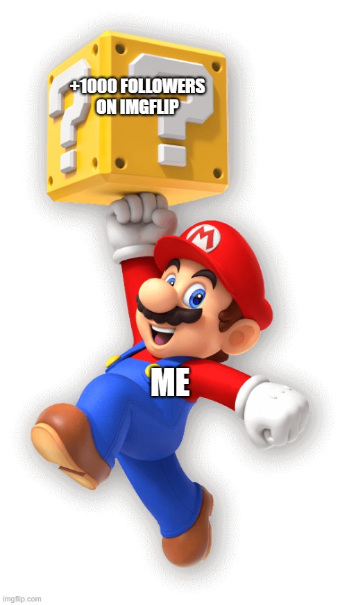 what i hope for but is not reality | +1000 FOLLOWERS ON IMGFLIP; ME | image tagged in mario | made w/ Imgflip meme maker