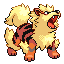 Arcanine_firered_front_sprite Meme Template