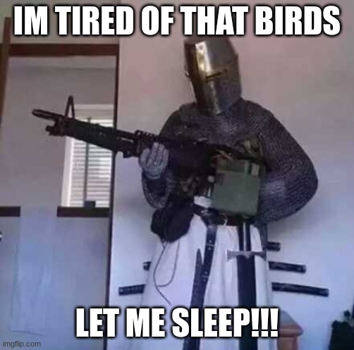 Crusader knight with M60 Machine Gun | IM TIRED OF THAT BIRDS LET ME SLEEP!!! | image tagged in crusader knight with m60 machine gun | made w/ Imgflip meme maker