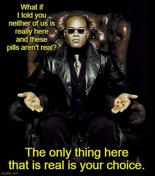 Morpheus Blue & Red Pill: What if I told you... | What if I told you neither of us is really here and these pills aren't real? The only thing here that is real is your choice. | image tagged in morpheus blue red pill,the matrix | made w/ Imgflip meme maker