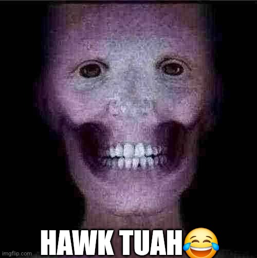 Hawk tuah | HAWK TUAH😂 | image tagged in memes | made w/ Imgflip meme maker