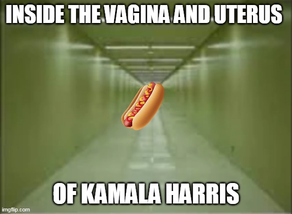 INSIDE THE VAGINA AND UTERUS OF KAMALA HARRIS | made w/ Imgflip meme maker