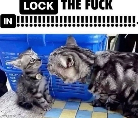 LOCK THE FUCK IN!!!!!!!! | . | image tagged in lock the fuck in | made w/ Imgflip meme maker