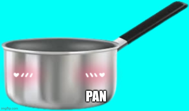Saucepan | PAN | image tagged in saucepan | made w/ Imgflip meme maker