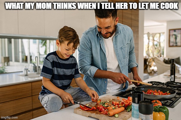 "cooking" | WHAT MY MOM THINKS WHEN I TELL HER TO LET ME COOK | image tagged in cooking | made w/ Imgflip meme maker