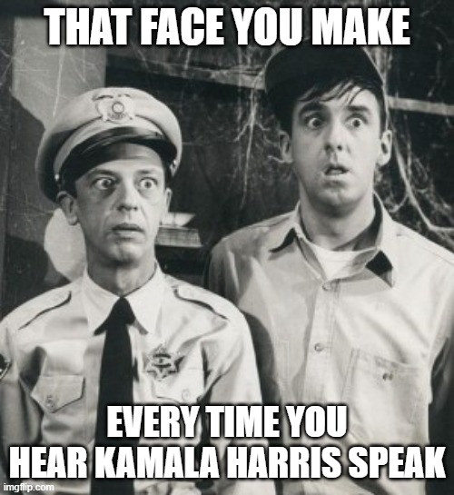 Kamala is an idiot | THAT FACE YOU MAKE; EVERY TIME YOU HEAR KAMALA HARRIS SPEAK | image tagged in kamala harris,idiot,moron,stupid | made w/ Imgflip meme maker