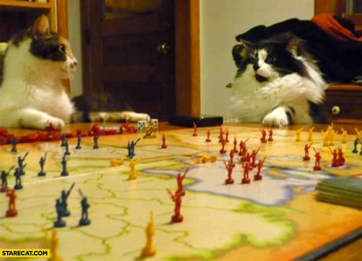 High Quality Two cats playing risk board game silly photo Blank Meme Template