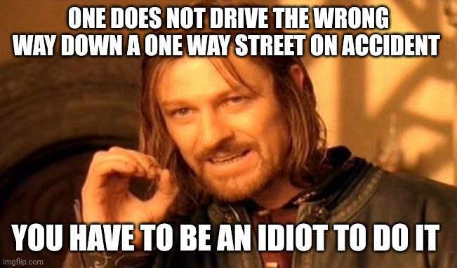 Wrong way | ONE DOES NOT DRIVE THE WRONG WAY DOWN A ONE WAY STREET ON ACCIDENT; YOU HAVE TO BE AN IDIOT TO DO IT | image tagged in memes,one does not simply,funny memes | made w/ Imgflip meme maker