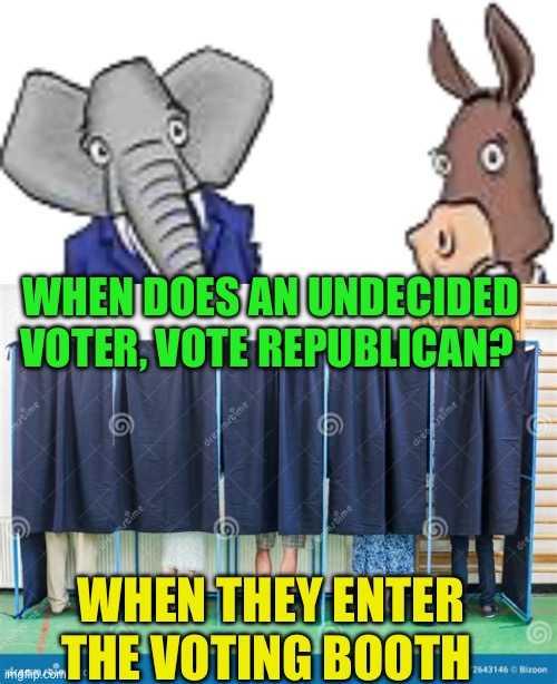 Undecided voters | WHEN DOES AN UNDECIDED VOTER, VOTE REPUBLICAN? WHEN THEY ENTER THE VOTING BOOTH | image tagged in gifs,voters,republicans,democrats | made w/ Imgflip meme maker