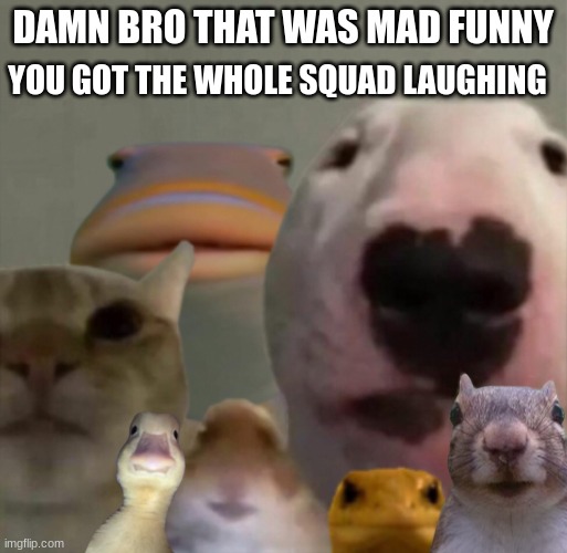 The council remastered | DAMN BRO THAT WAS MAD FUNNY YOU GOT THE WHOLE SQUAD LAUGHING | image tagged in the council remastered | made w/ Imgflip meme maker