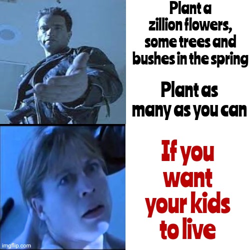 EVERYBODY Should Plant Flowers, Trees & Shrubbery Next Spring.  U Don't Need A Green Thumb. U Need Some Soil, Water & Sun | Plant a zillion flowers, some trees and bushes in the spring; If you want your kids to live; Plant as many as you can | image tagged in memes,drake hotline bling,garden,flower garden,when the trees start speaking,it's time to give back | made w/ Imgflip meme maker