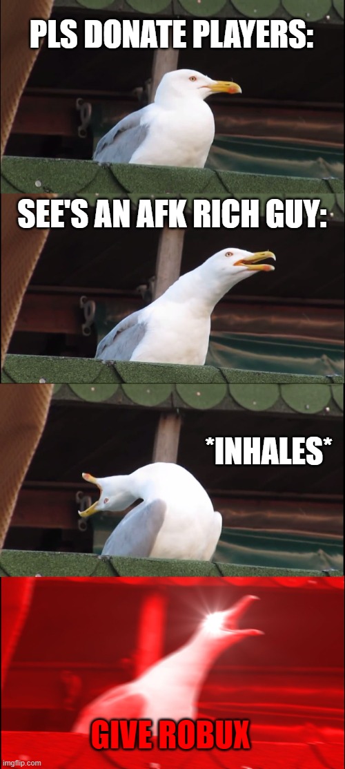 Pls donate players mentally: | PLS DONATE PLAYERS:; SEE'S AN AFK RICH GUY:; *INHALES*; GIVE ROBUX | image tagged in memes,inhaling seagull | made w/ Imgflip meme maker