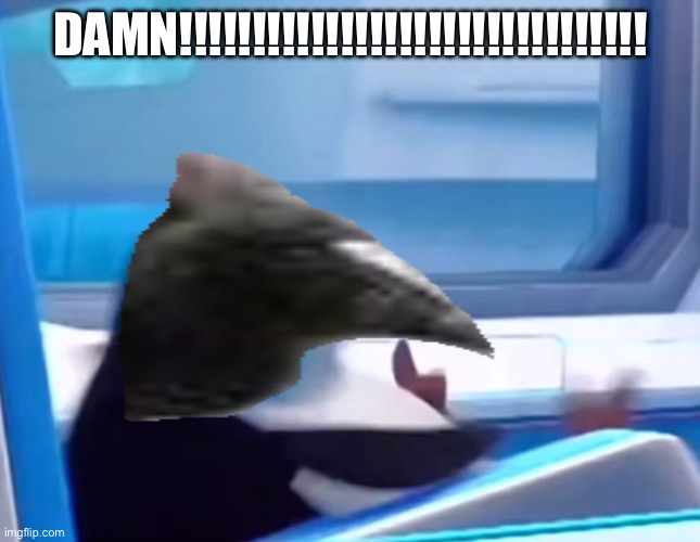 Uh oh | DAMN!!!!!!!!!!!!!!!!!!!!!!!!!!!!!!!! | image tagged in uh oh | made w/ Imgflip meme maker