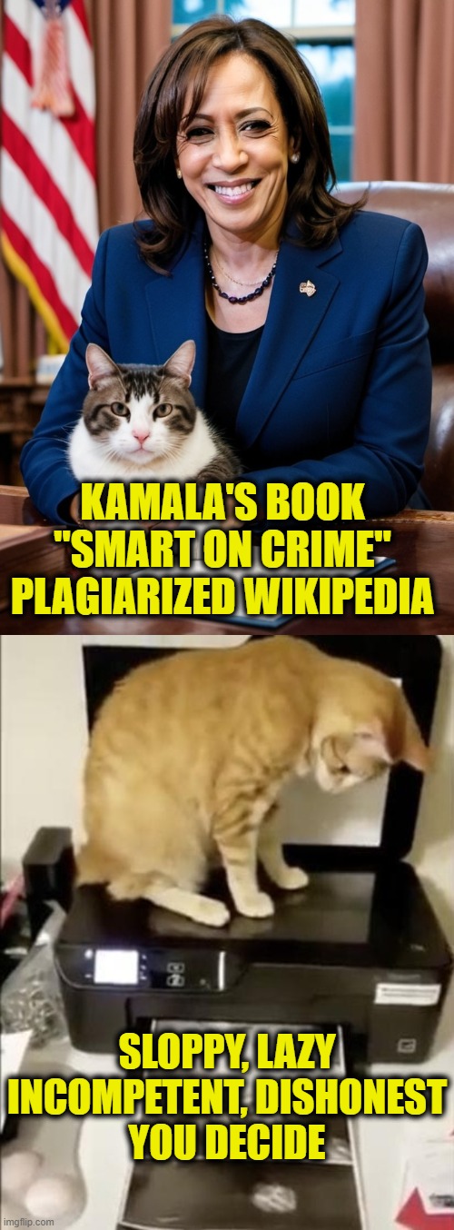 Copy cat lady | KAMALA'S BOOK
"SMART ON CRIME"
PLAGIARIZED WIKIPEDIA; SLOPPY, LAZY
INCOMPETENT, DISHONEST
YOU DECIDE | image tagged in kamala harris | made w/ Imgflip meme maker