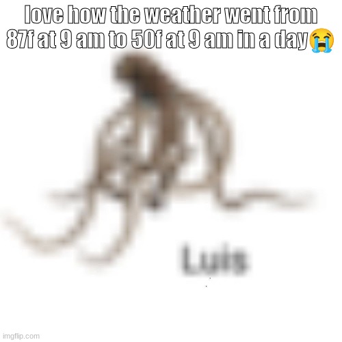 Luis | love how the weather went from 87f at 9 am to 50f at 9 am in a day😭 | image tagged in luis | made w/ Imgflip meme maker