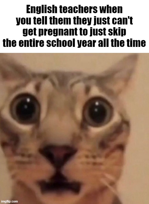 Flabbergasted cat | English teachers when you tell them they just can't get pregnant to just skip the entire school year all the time | image tagged in flabbergasted cat | made w/ Imgflip meme maker