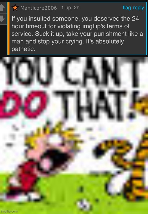 image tagged in calvin and hobbes you can't do that | made w/ Imgflip meme maker