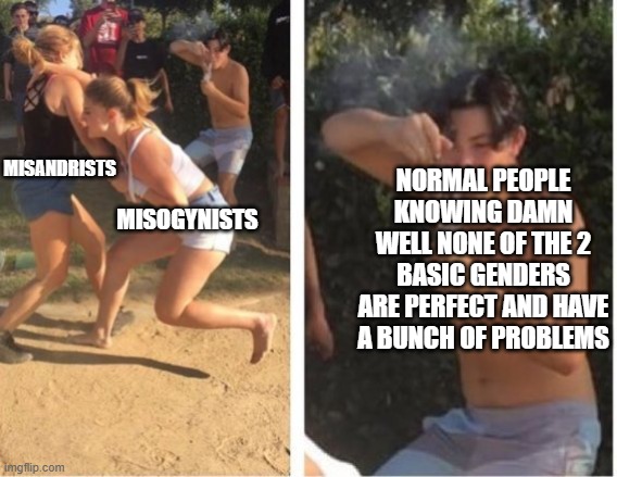 Acting like your gender is perfect and has no problems is stupid, also posting this here cuz wouldn't get accepted anywhere | NORMAL PEOPLE KNOWING DAMN WELL NONE OF THE 2 BASIC GENDERS ARE PERFECT AND HAVE A BUNCH OF PROBLEMS; MISANDRISTS; MISOGYNISTS | image tagged in dabbing dude,memes,misogyny,misandrist | made w/ Imgflip meme maker