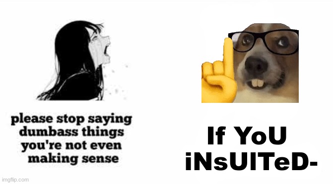 please stop saying dumbass things youre not even making sense | If YoU  iNsUlTeD- | image tagged in please stop saying dumbass things youre not even making sense | made w/ Imgflip meme maker