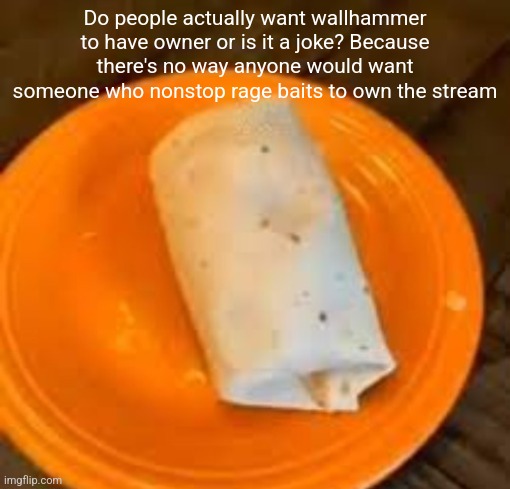 JimmyHere Burrito | Do people actually want wallhammer to have owner or is it a joke? Because there's no way anyone would want someone who nonstop rage baits to own the stream | image tagged in jimmyhere burrito | made w/ Imgflip meme maker