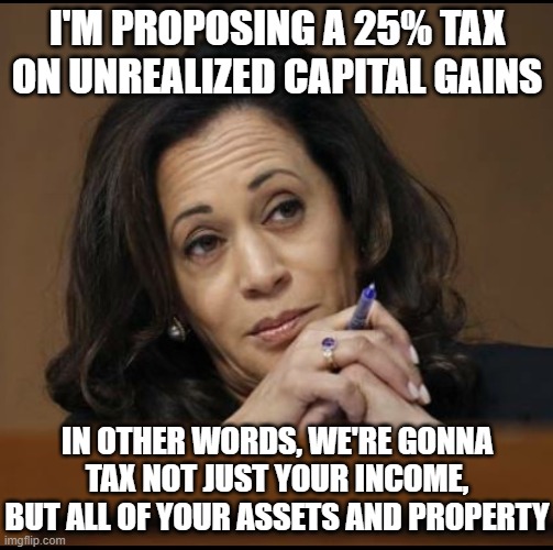 Kamala Harris  | I'M PROPOSING A 25% TAX ON UNREALIZED CAPITAL GAINS; IN OTHER WORDS, WE'RE GONNA TAX NOT JUST YOUR INCOME, BUT ALL OF YOUR ASSETS AND PROPERTY | image tagged in kamala harris | made w/ Imgflip meme maker