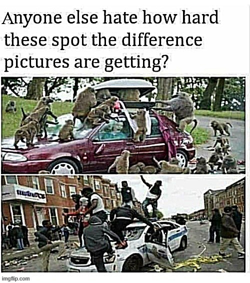 The car is different | image tagged in memes,funny,racism,dark humor,offensive | made w/ Imgflip meme maker