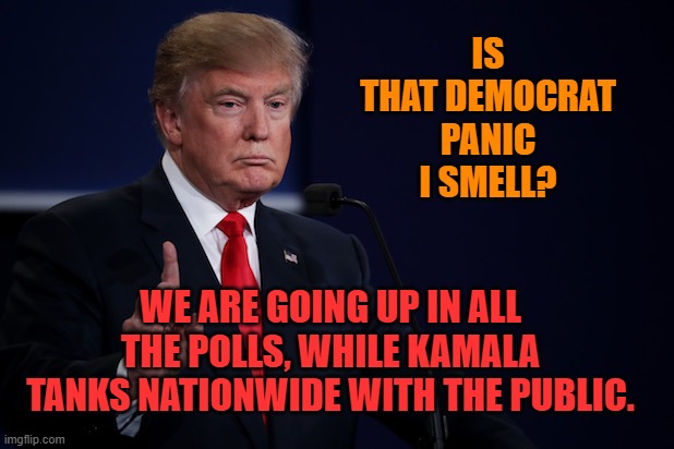 Donald Trump I'll keep you in suspense meme | IS THAT DEMOCRAT PANIC I SMELL? WE ARE GOING UP IN ALL THE POLLS, WHILE KAMALA TANKS NATIONWIDE WITH THE PUBLIC. | image tagged in donald trump i'll keep you in suspense meme | made w/ Imgflip meme maker