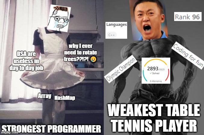 Strongest programmer vs weakest table tennis player | why I ever need to rotate trees??!?! 😢; DSA are useless in day to day job; HashMap; Array; WEAKEST TABLE TENNIS PLAYER; STRONGEST PROGRAMMER | image tagged in strongest fan vs weakest fan | made w/ Imgflip meme maker