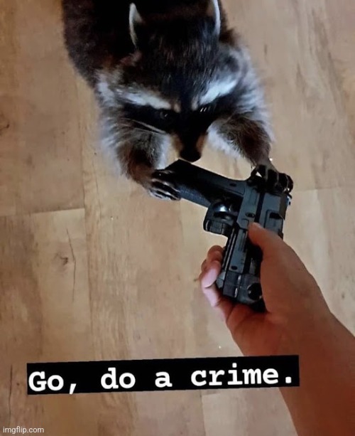 Post above is now doing a crime | image tagged in go do a crime | made w/ Imgflip meme maker