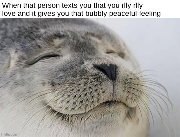 shoutout to my lover and friends <3 | When that person texts you that you rlly rlly love and it gives you that bubbly peaceful feeling | image tagged in memes,satisfied seal | made w/ Imgflip meme maker