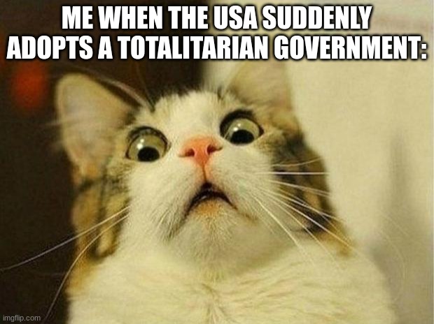 Uh Oh.......... | ME WHEN THE USA SUDDENLY ADOPTS A TOTALITARIAN GOVERNMENT: | image tagged in memes,scared cat | made w/ Imgflip meme maker