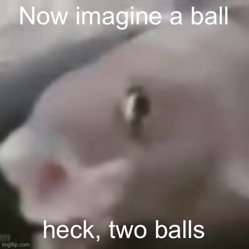 fih | Now imagine a ball; heck, two balls | image tagged in fih | made w/ Imgflip meme maker
