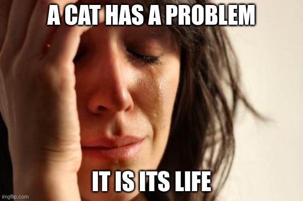 gg | A CAT HAS A PROBLEM; IT IS ITS LIFE | image tagged in memes,first world problems | made w/ Imgflip meme maker