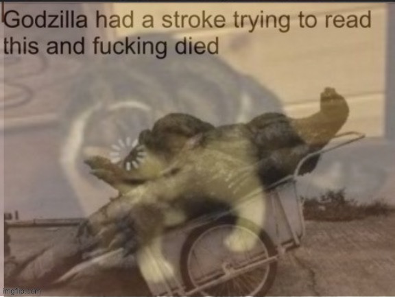 Godzilla had a stroke and loading cat | image tagged in godzilla had a stroke and loading cat | made w/ Imgflip meme maker