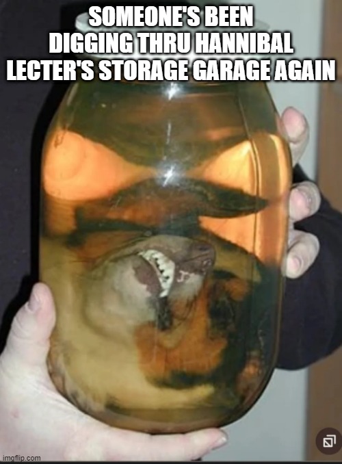 Dog in a Jar | SOMEONE'S BEEN DIGGING THRU HANNIBAL LECTER'S STORAGE GARAGE AGAIN | image tagged in cursed image | made w/ Imgflip meme maker