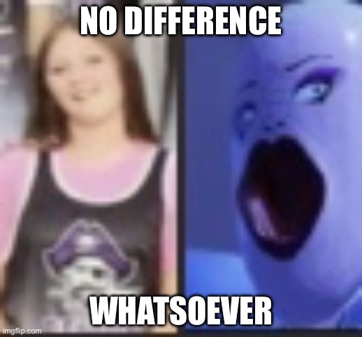 Lexi no difference | NO DIFFERENCE; WHATSOEVER | image tagged in lexi | made w/ Imgflip meme maker