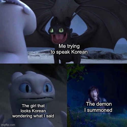 The | Me trying to speak Korean; The demon I summoned; The girl that looks Korean wondering what I said | image tagged in toothless presents himself,the | made w/ Imgflip meme maker