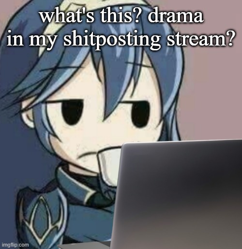 Lucina looking at laptop | what's this? drama in my shitposting stream? | image tagged in lucina looking at laptop | made w/ Imgflip meme maker