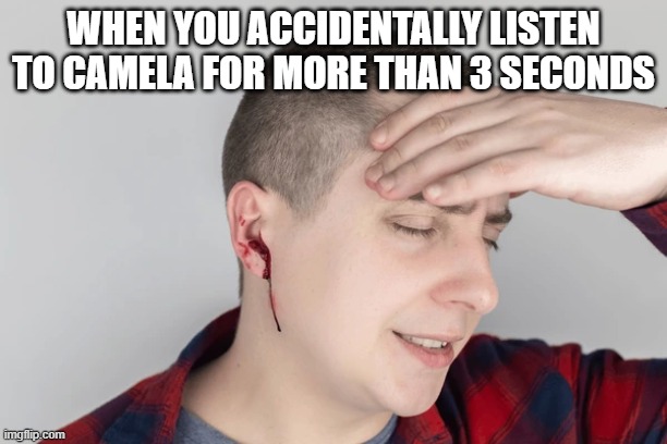 I am going to invest in ear plugs if this thing wins cause I know noone wants to hear that shit for 4 years. | WHEN YOU ACCIDENTALLY LISTEN TO CAMELA FOR MORE THAN 3 SECONDS | image tagged in kamala harris,voice,horrible,stupid liberals,funny memes,donald trump approves | made w/ Imgflip meme maker