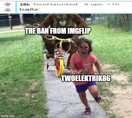 run bro | THE BAN FROM IMGFLIP; TWOELEKTRIK86 | image tagged in run | made w/ Imgflip meme maker