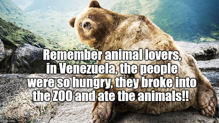 socialism doesn't work | Remember animal lovers, in Venezuela, the people were so hungry, they broke into the ZOO and ate the animals!! | image tagged in venezuela | made w/ Imgflip meme maker